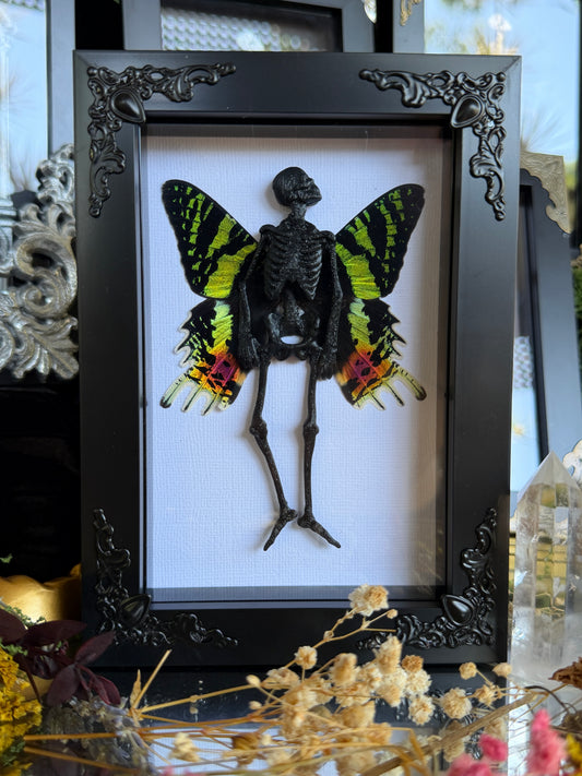 NOIR SUNSET MOTH FAIRY - Mother of Hades Dead Fairy Collection