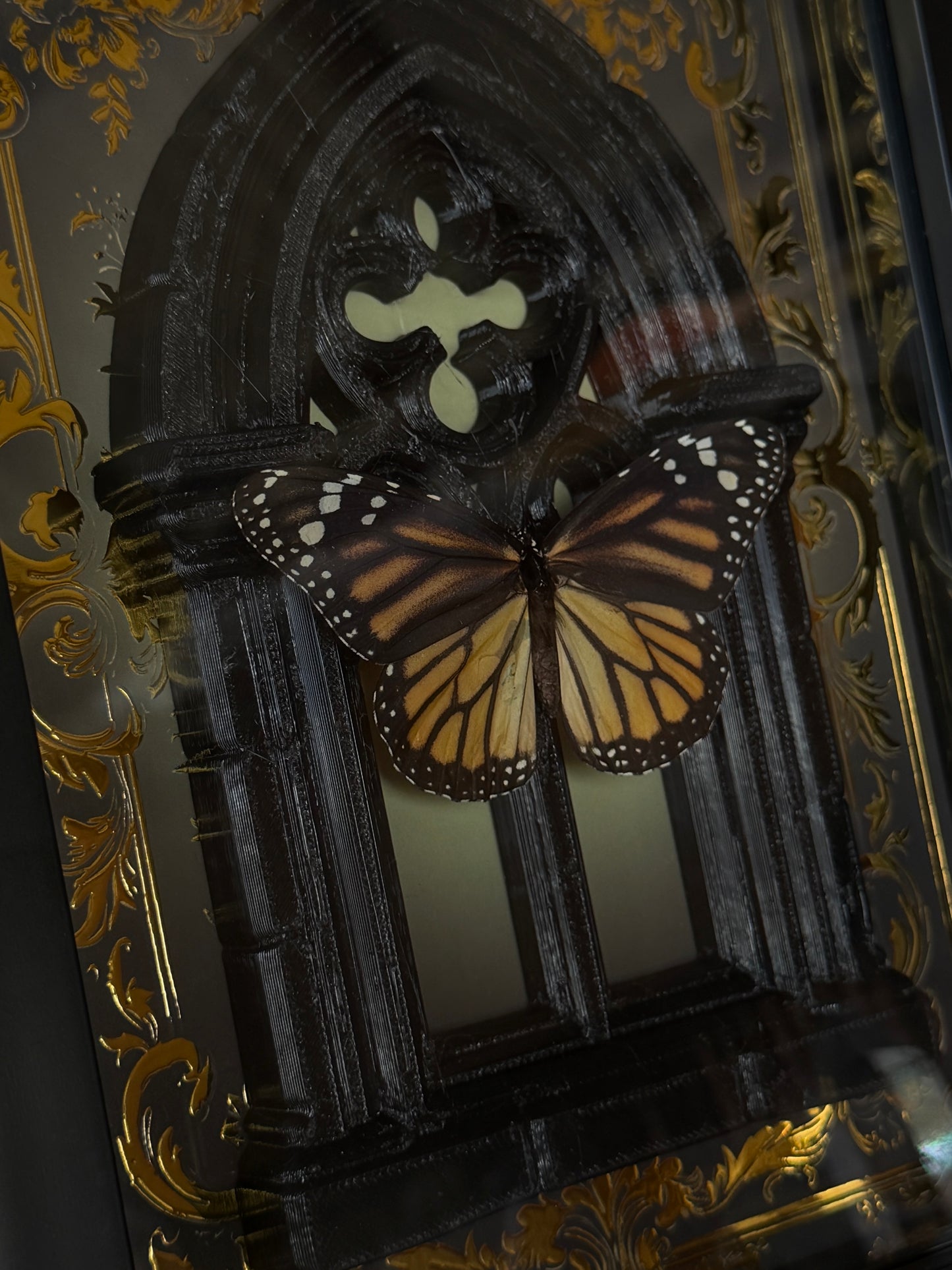 MONARCH BUTTERFLY - Danaus Plexippus Framed Specimen