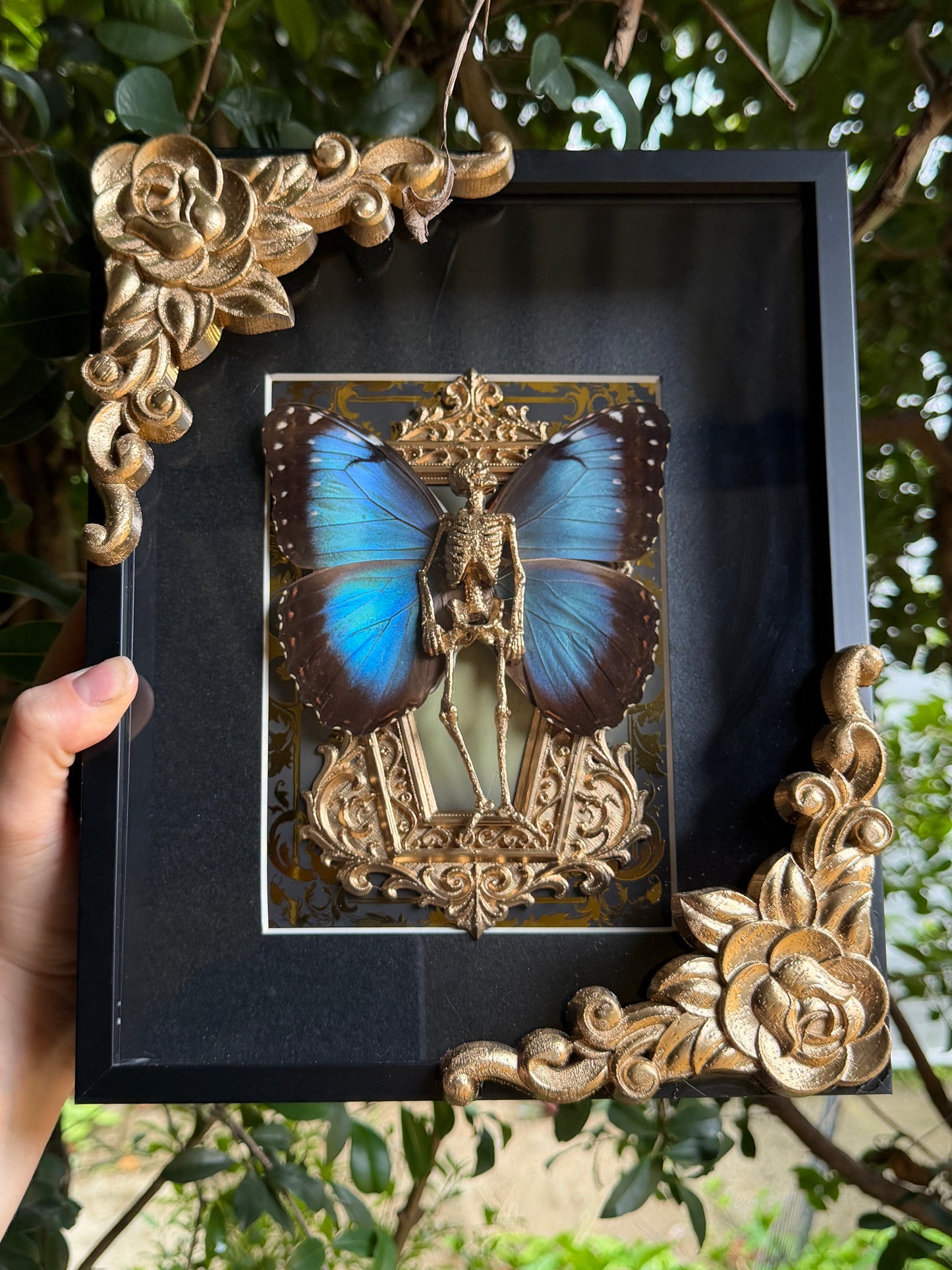 GOLD MORPHO MAUSOLEUM - Mother of Hades Dead Fairy Frame