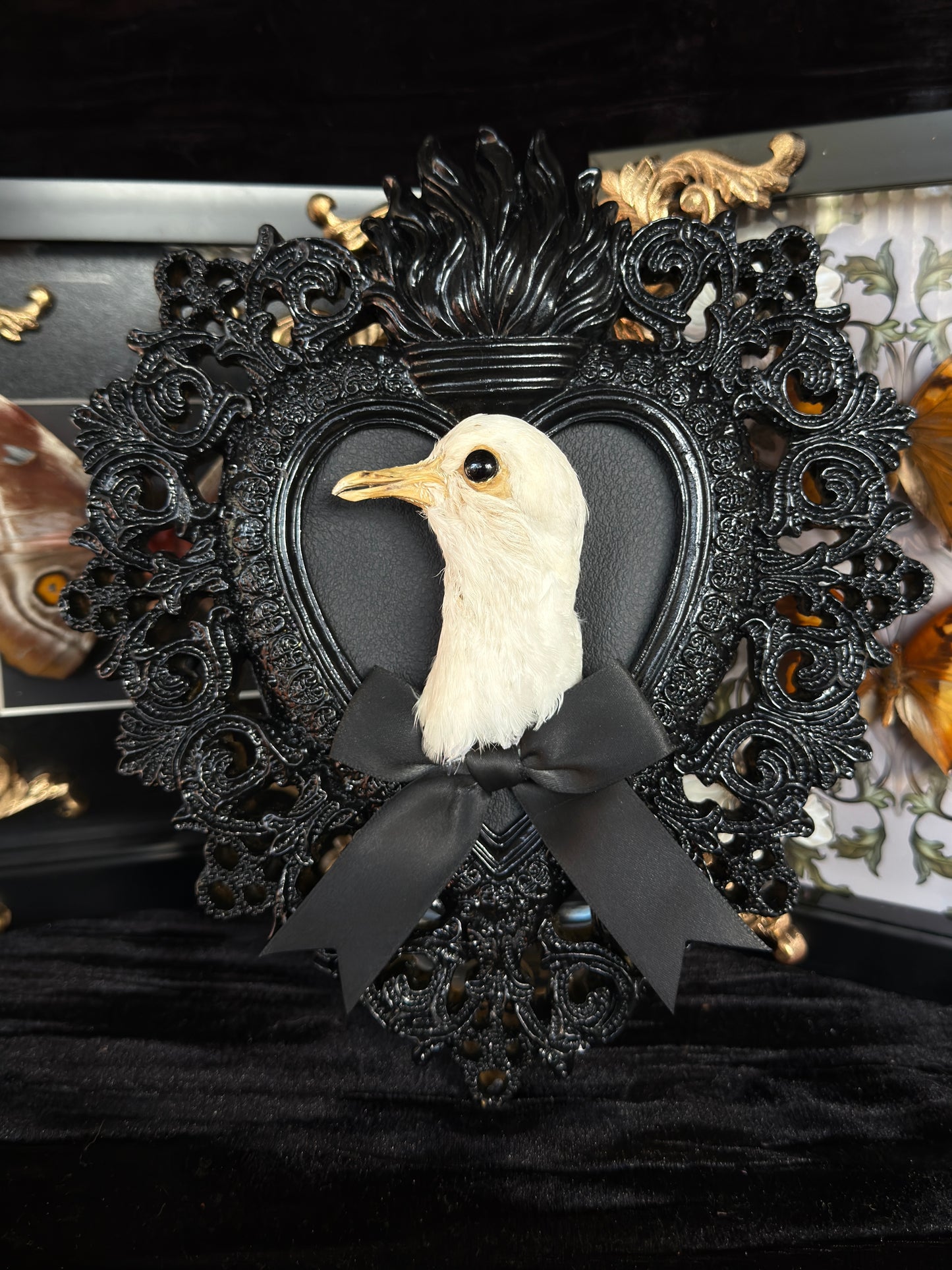 PIGEON HEAD - Mother of Hades Black Heart Open Display Frame