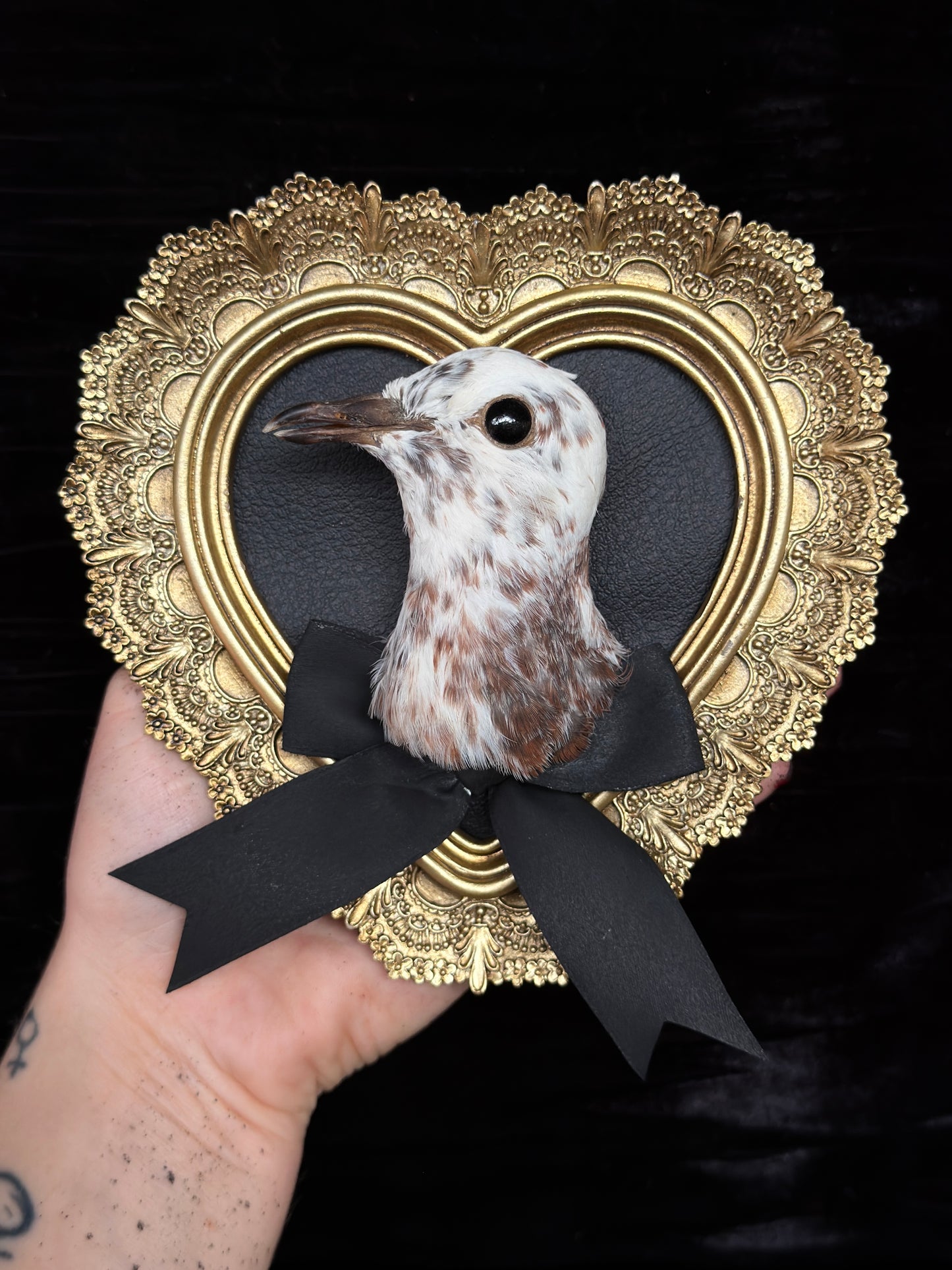 PIGEON HEAD - Mother of Hades Small Gold Heart Open Display Frame