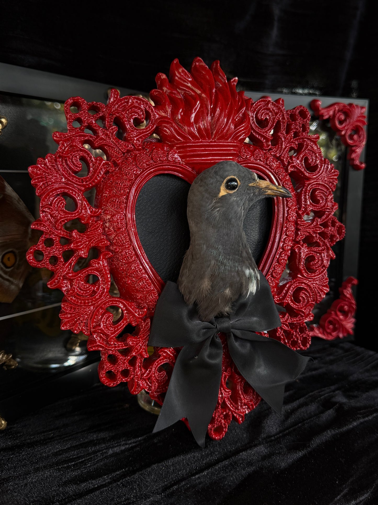 PIGEON HEAD - Mother of Hades Red Heart Open Display Frame