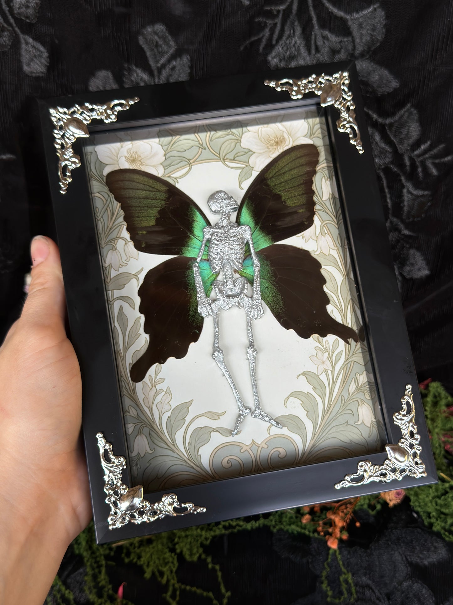 PEACOCK FAIRY - Mother of Hades Dead Fairy Frame
