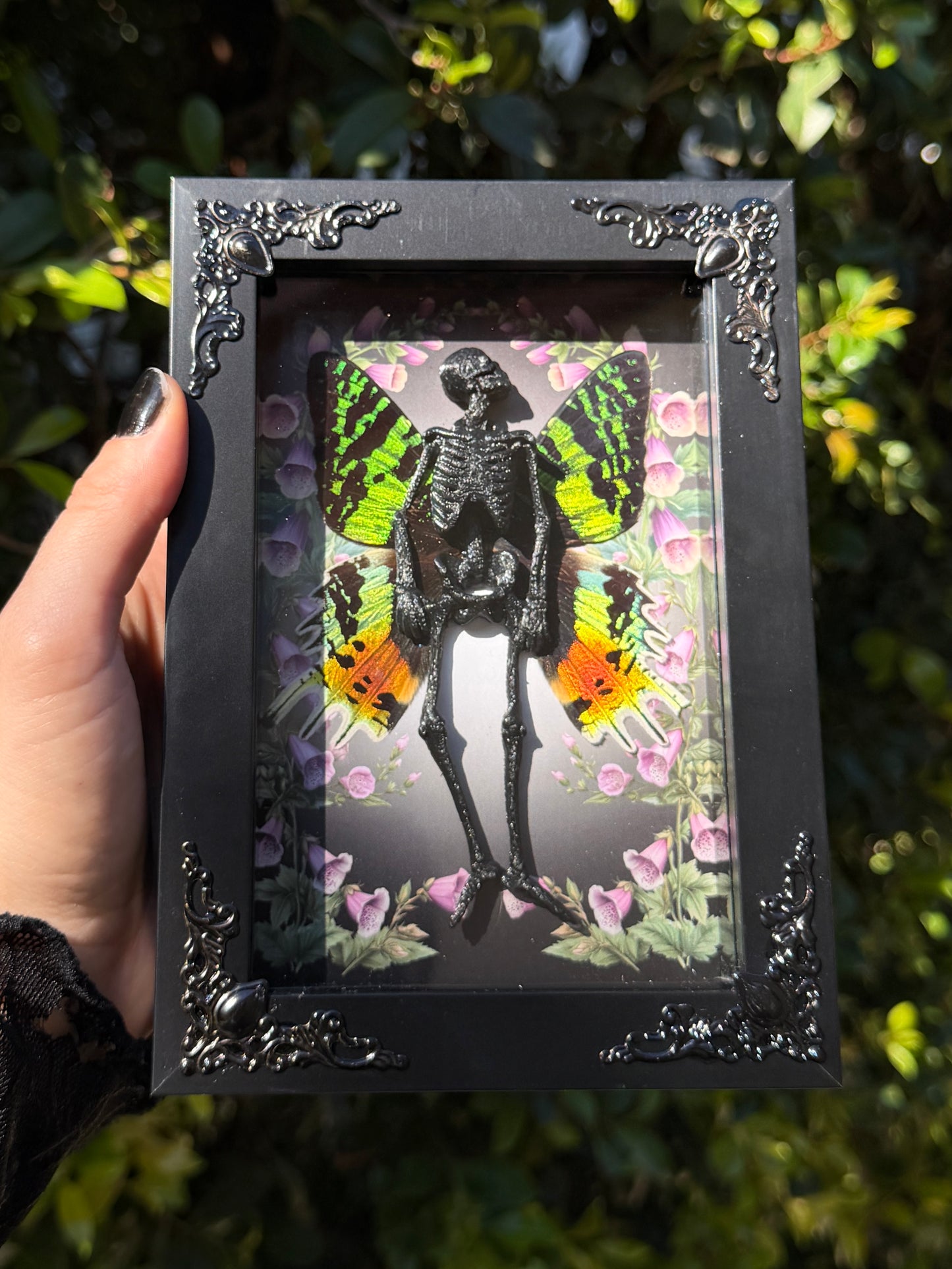 EVANGELINE FAIRY - Mother of Hades Dead Fairy Frame