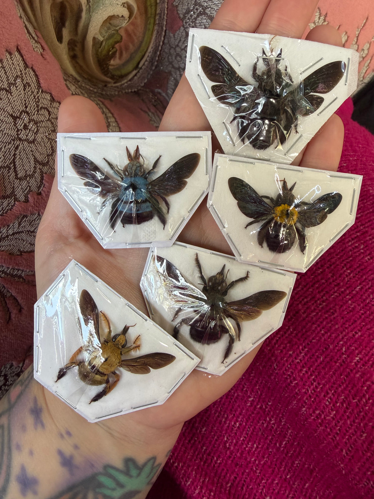 BEEZUS CHRIST - Royal flush of carpenter bees