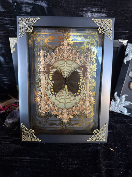 VINTAGE MISS OCTOBER - gold a5 specimen frame
