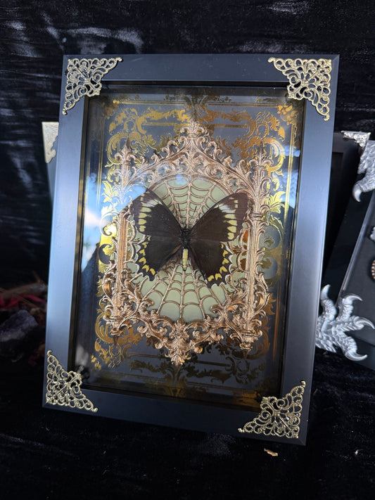 VINTAGE MISS OCTOBER - gold a5 specimen frame