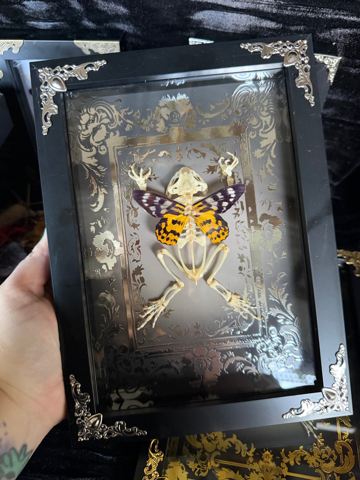 SILVER SUNSET TOAD FAIRY - silver a5 specimen frame