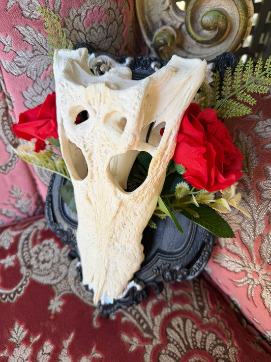 SILVER FERN ROSA - crocodile skull curio with permit