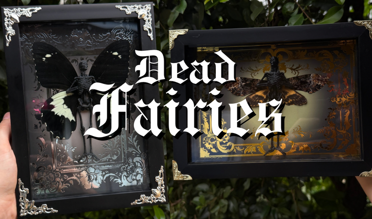 DEAD FAIRIES