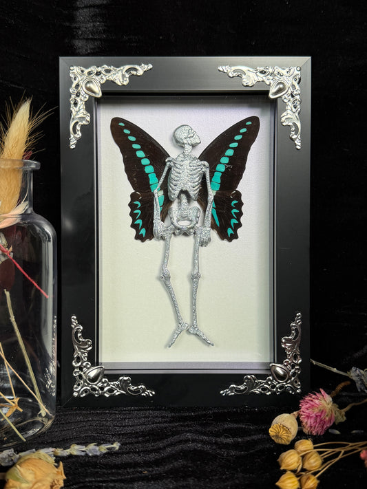 MILON’S SWALLOWTAIL FAIRY - Mother of Hades Dead Fairy Frame