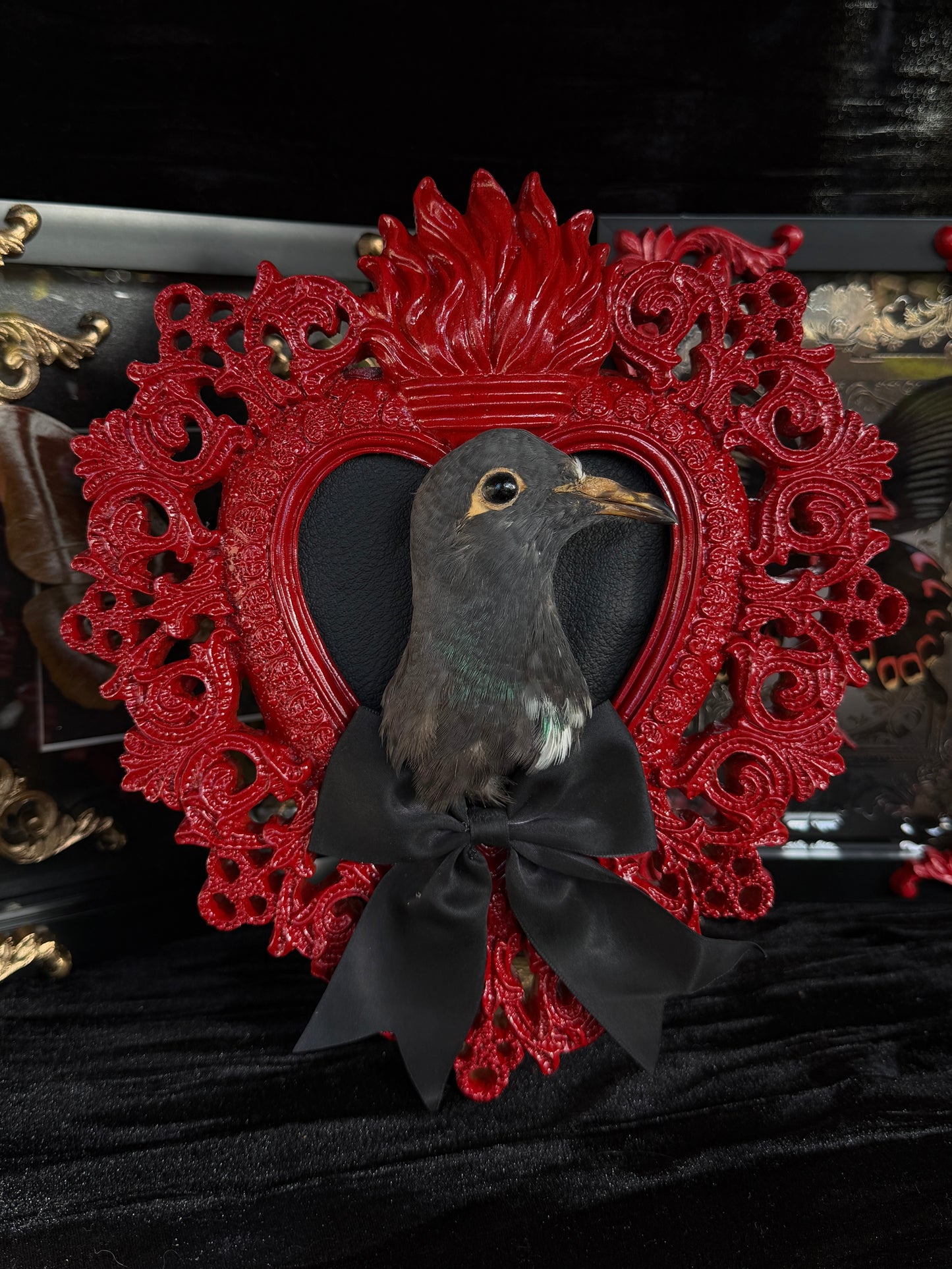 PIGEON HEAD - Mother of Hades Red Heart Open Display Frame