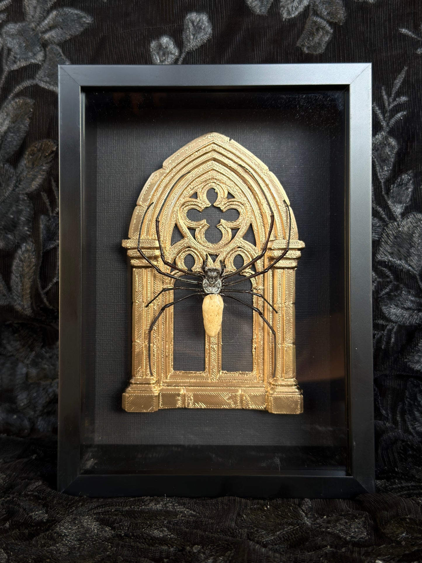 Gold Arch Orb Weaver Spider - Mother of Hades Framed Specimen