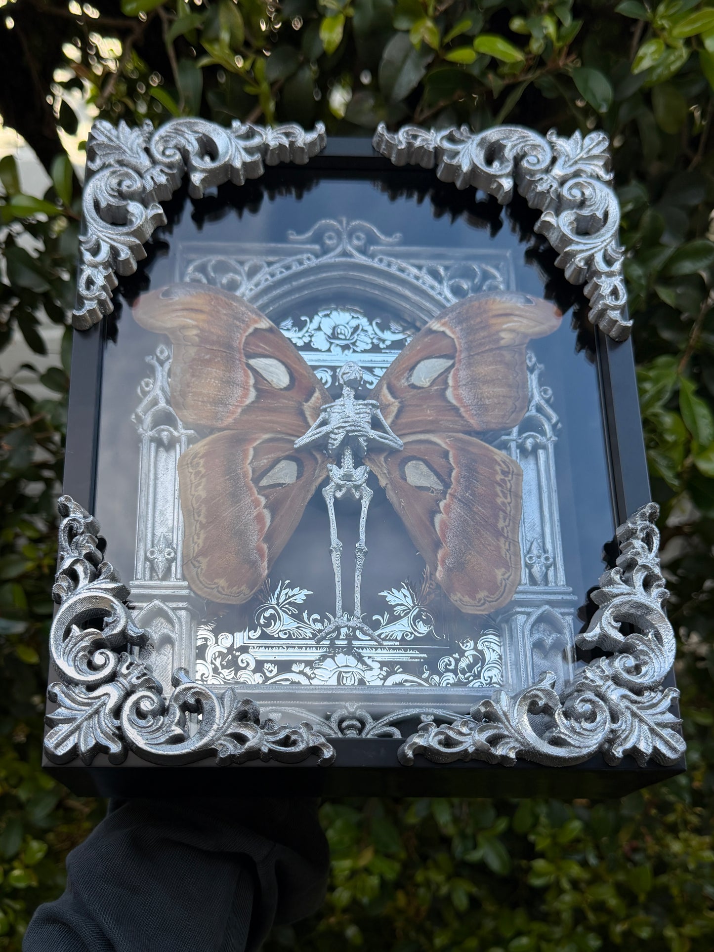 SILVER ATLAS MOTH MAUSOLEUM - Mother of Hades Dead Fairy Frame