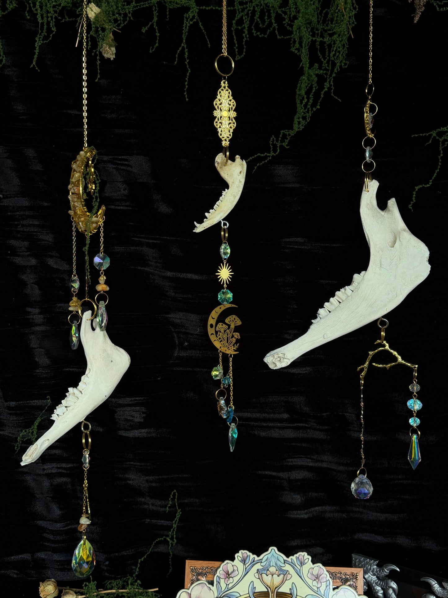 RACOON MANDIBLE BONE SUN CATCHER