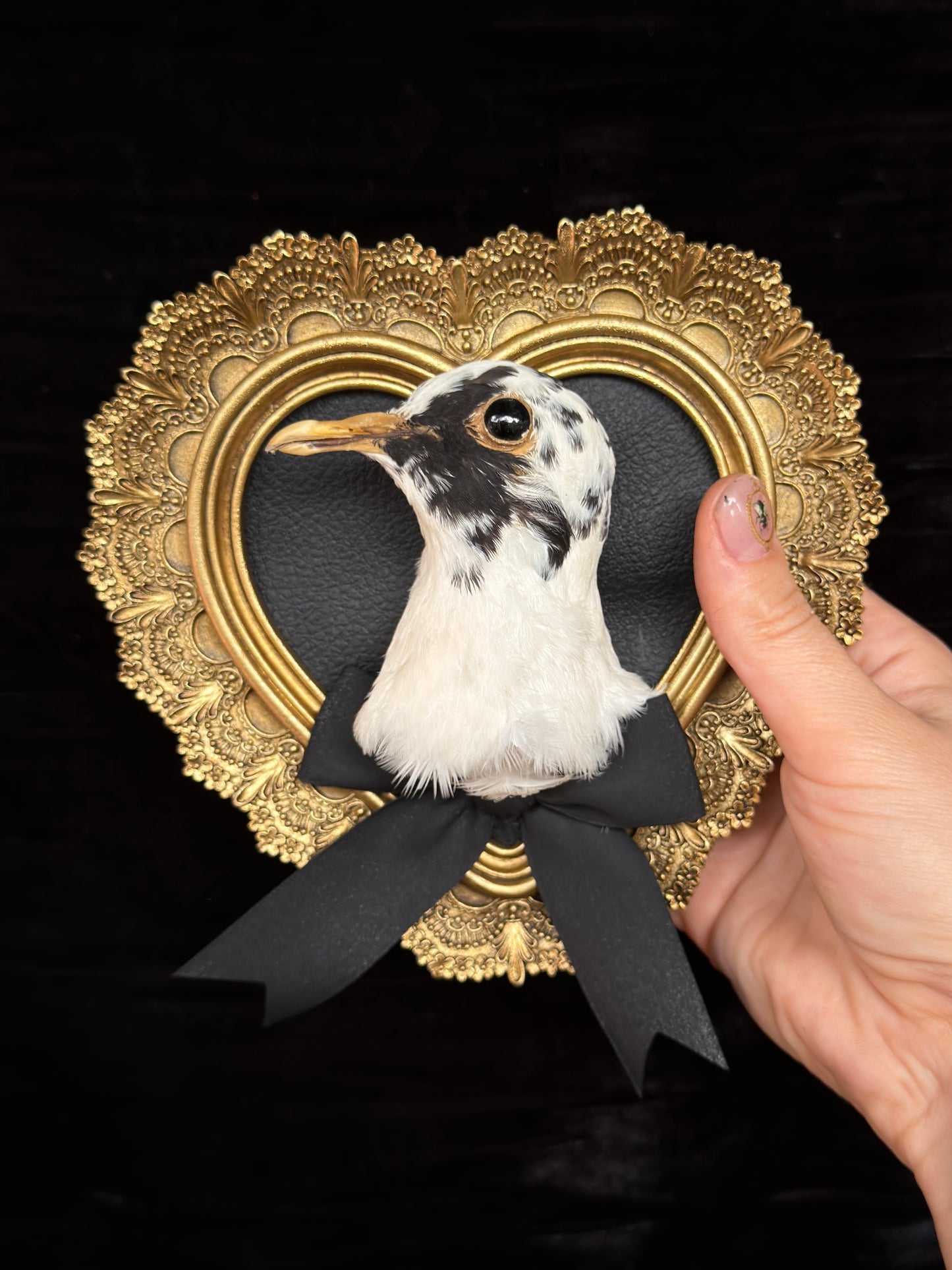 PIGEON HEAD - Mother of Hades Small Gold Heart Open Display Frame