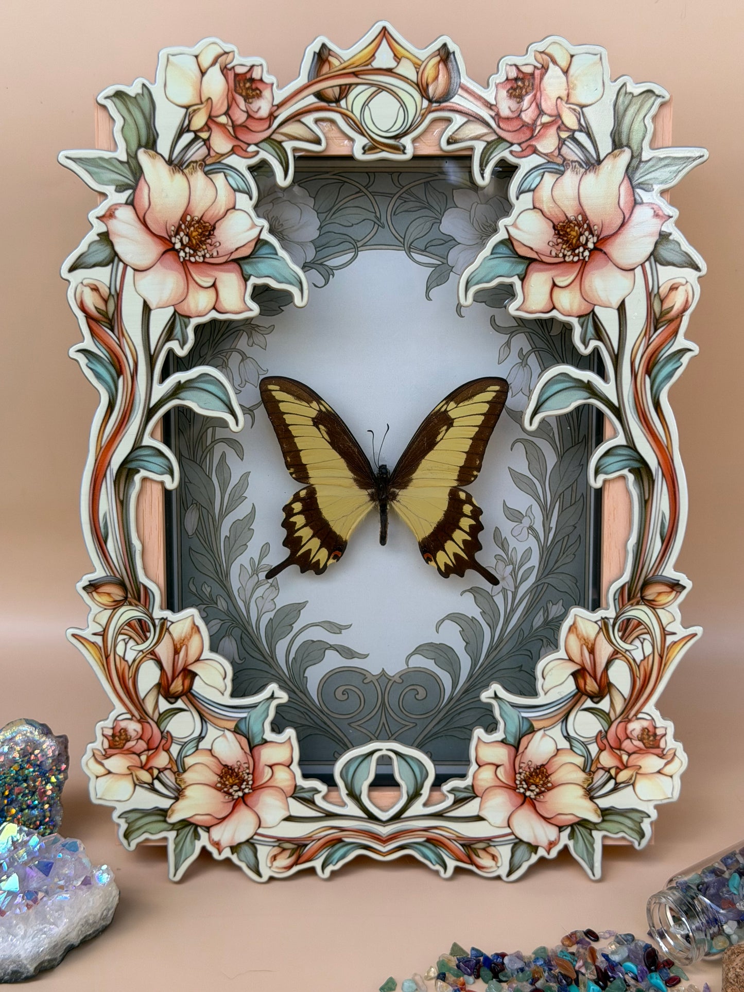 KING SWALLOWTAIL BUTTERFLY - heraclides thoas Framed Specimen
