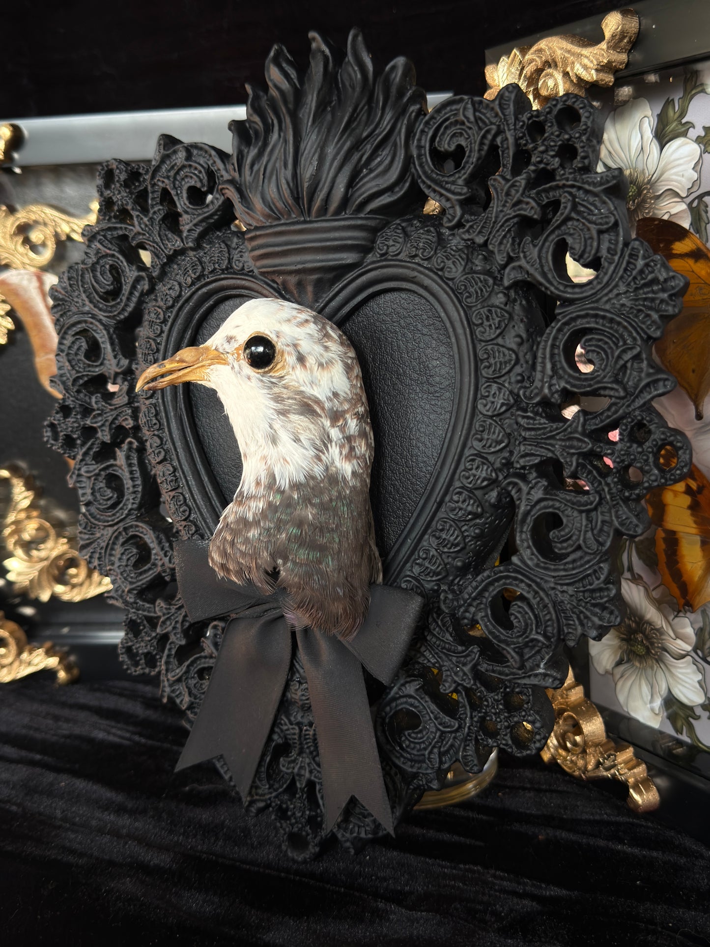 PIGEON HEAD - Mother of Hades Black Heart Open Display Frame