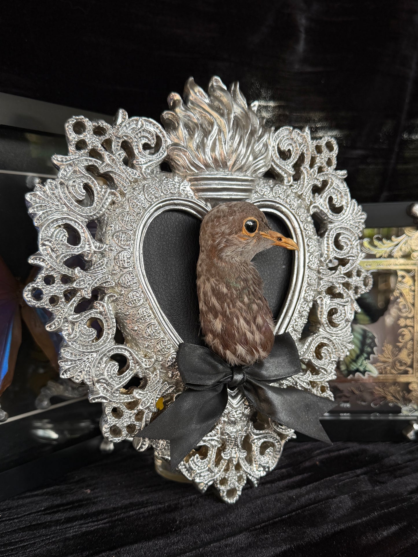 PIGEON HEAD - Mother of Hades Silver Heart Open Display Frame