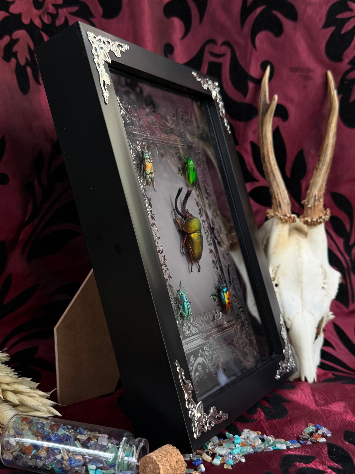 Jewel Beetle Set Framed Specimens (SILVER) - names in description