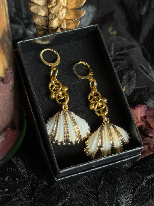 MARINE TREASURE - Pippi Shell Ear Hangers