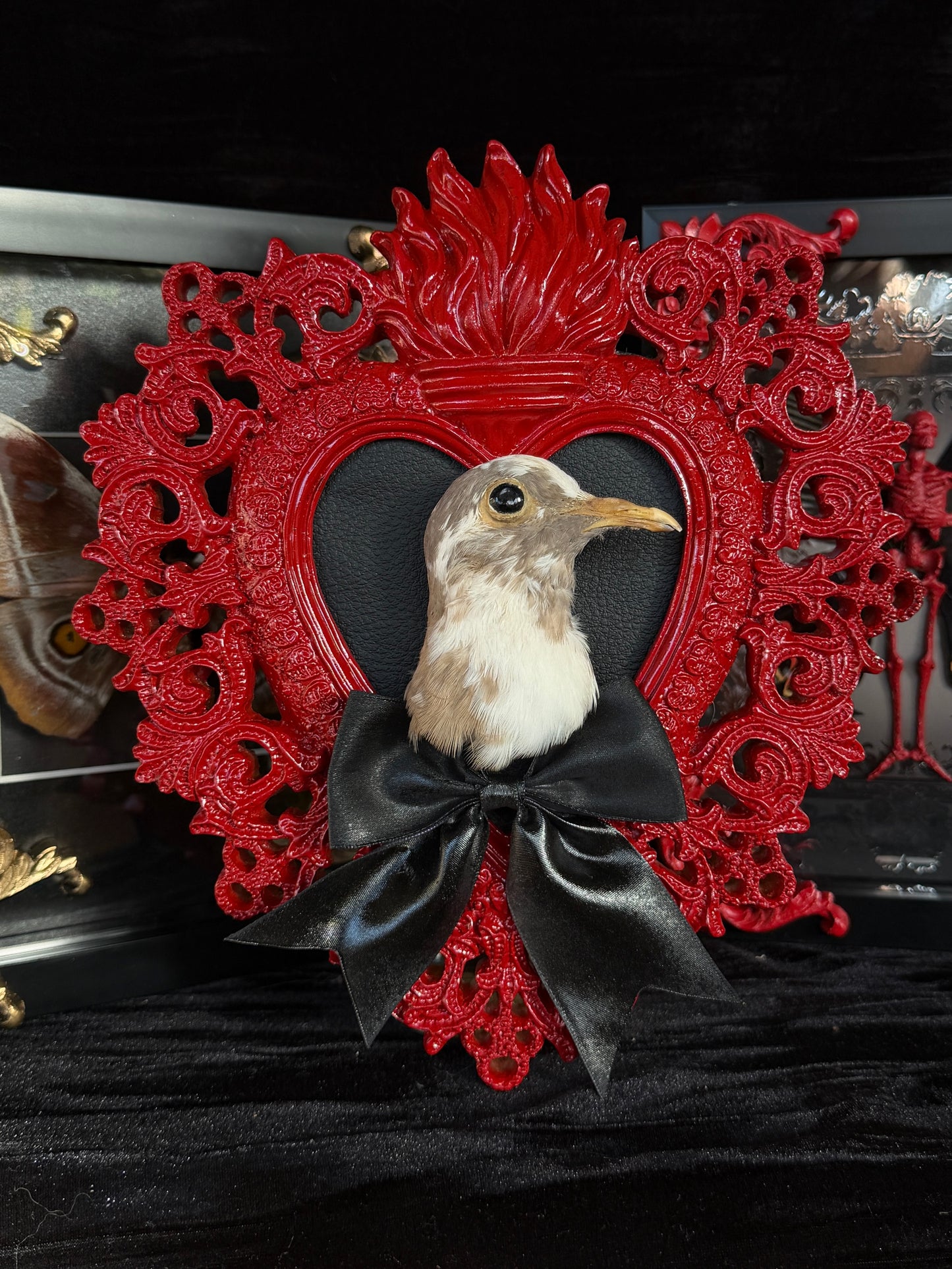 PIGEON HEAD - Mother of Hades Red Heart Open Display Frame