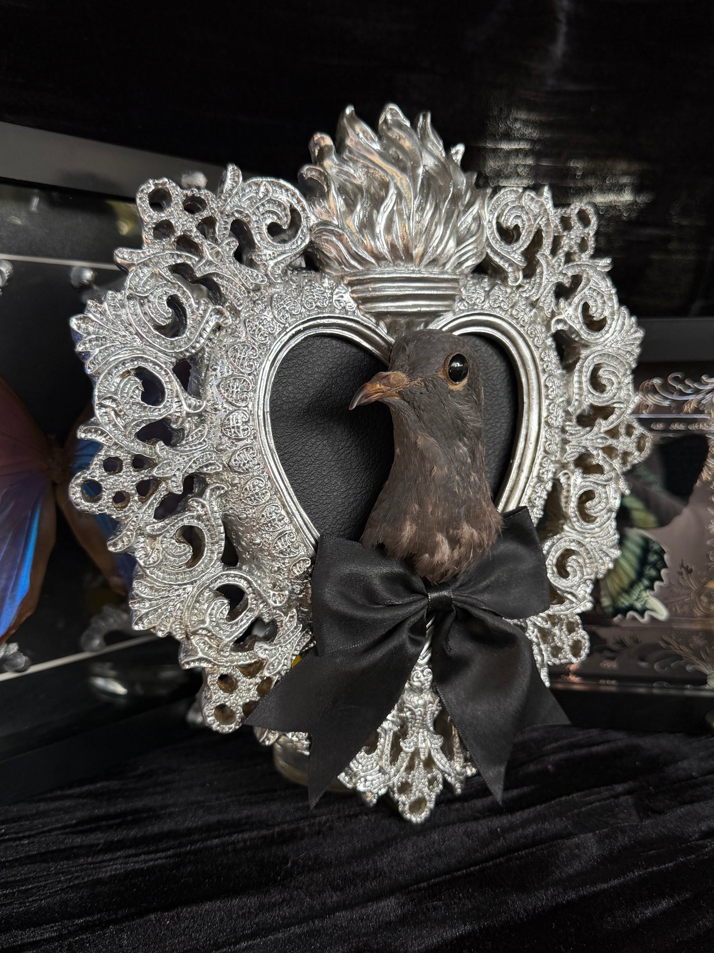 PIGEON HEAD - Mother of Hades Silver Heart Open Display Frame