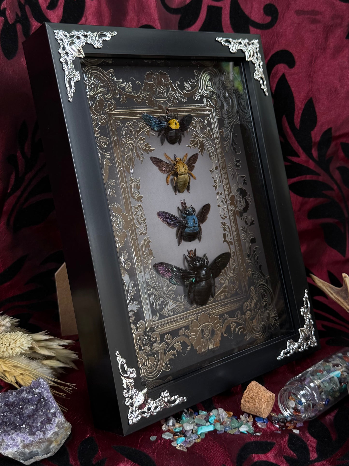 Quad Carpenter Bee Framed Specimens (SILVER) - names in description