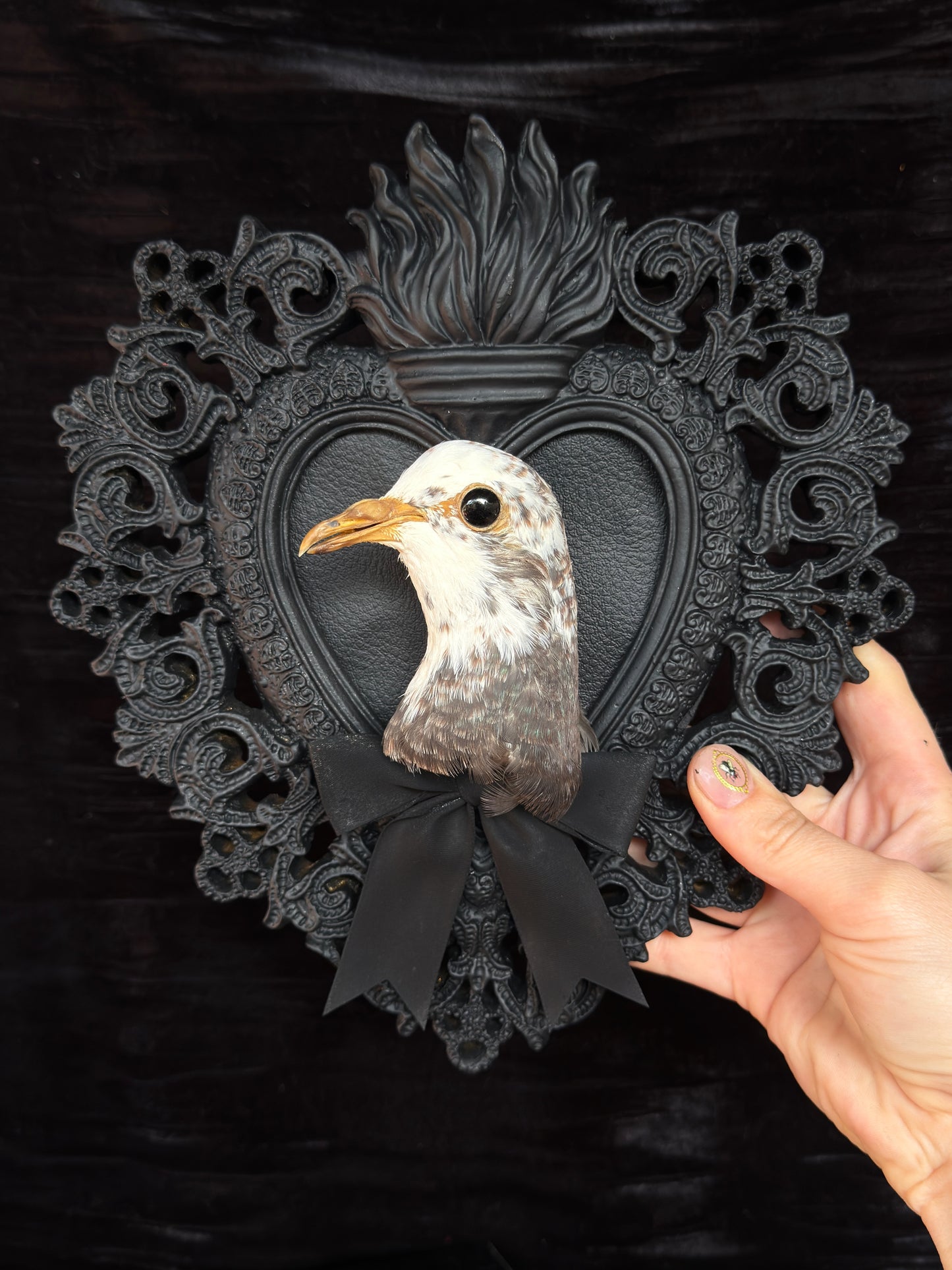 PIGEON HEAD - Mother of Hades Black Heart Open Display Frame