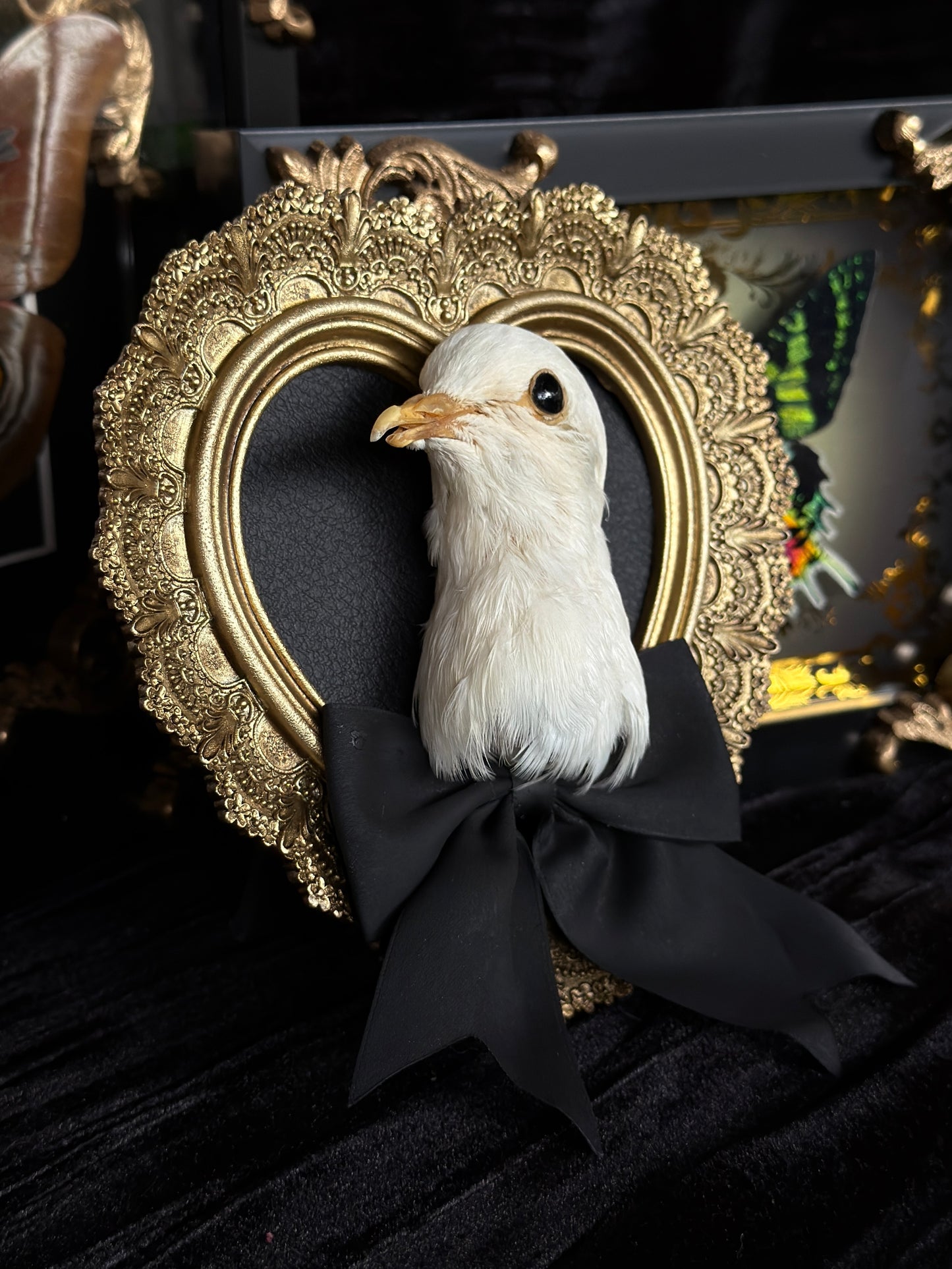 PIGEON HEAD - Mother of Hades Small Gold Heart Open Display Frame