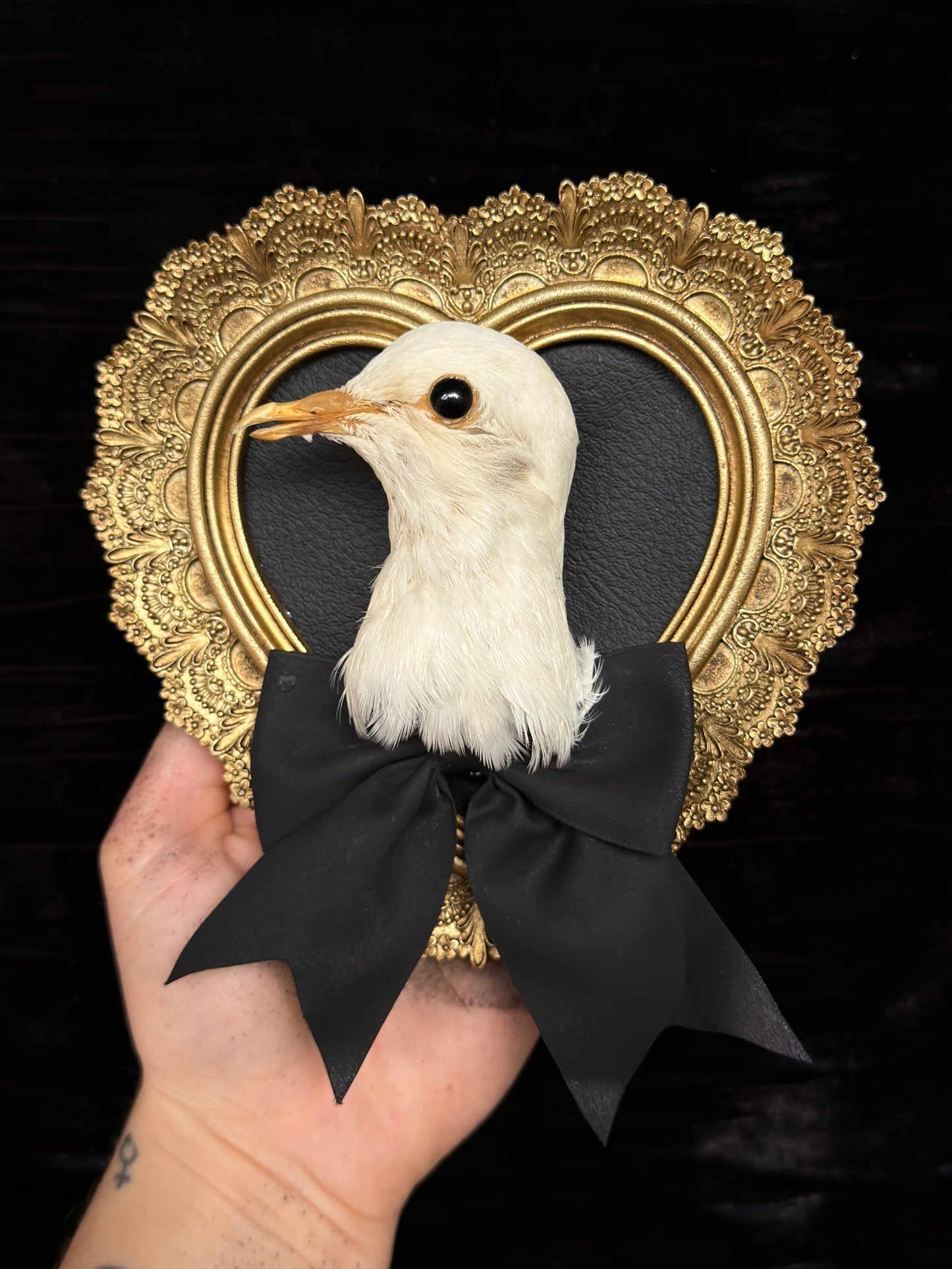 PIGEON HEAD - Mother of Hades Small Gold Heart Open Display Frame