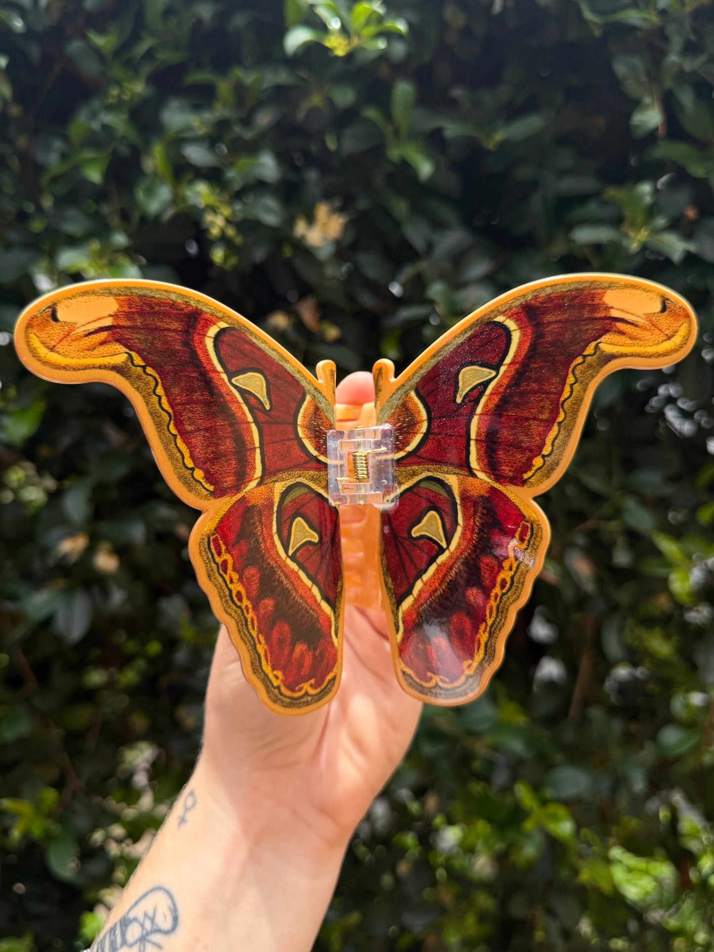 ATTACUS ATLAS MOTH - Moth Hair Clip