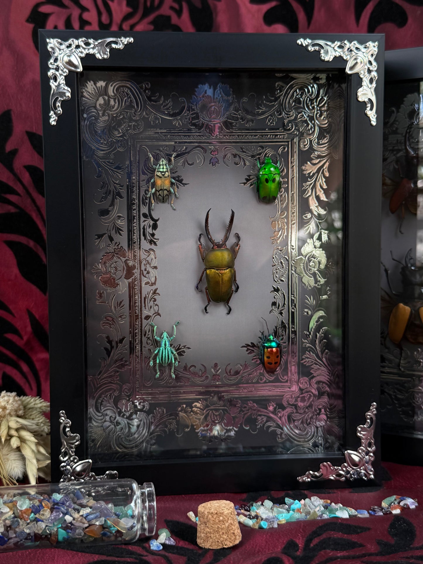 Jewel Beetle Set Framed Specimens (SILVER) - names in description