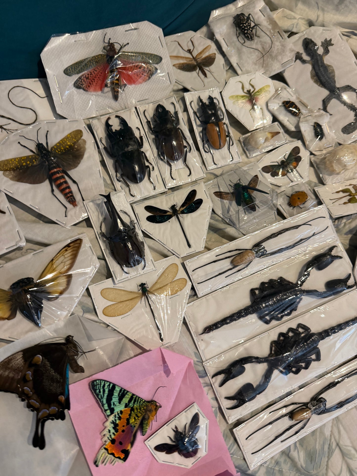 SPECIMEN MYSTERY PACK - 30 PIECES