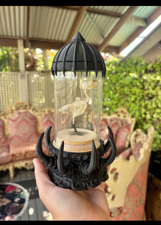 GIEGER JAR - display dome with finch skeleton
