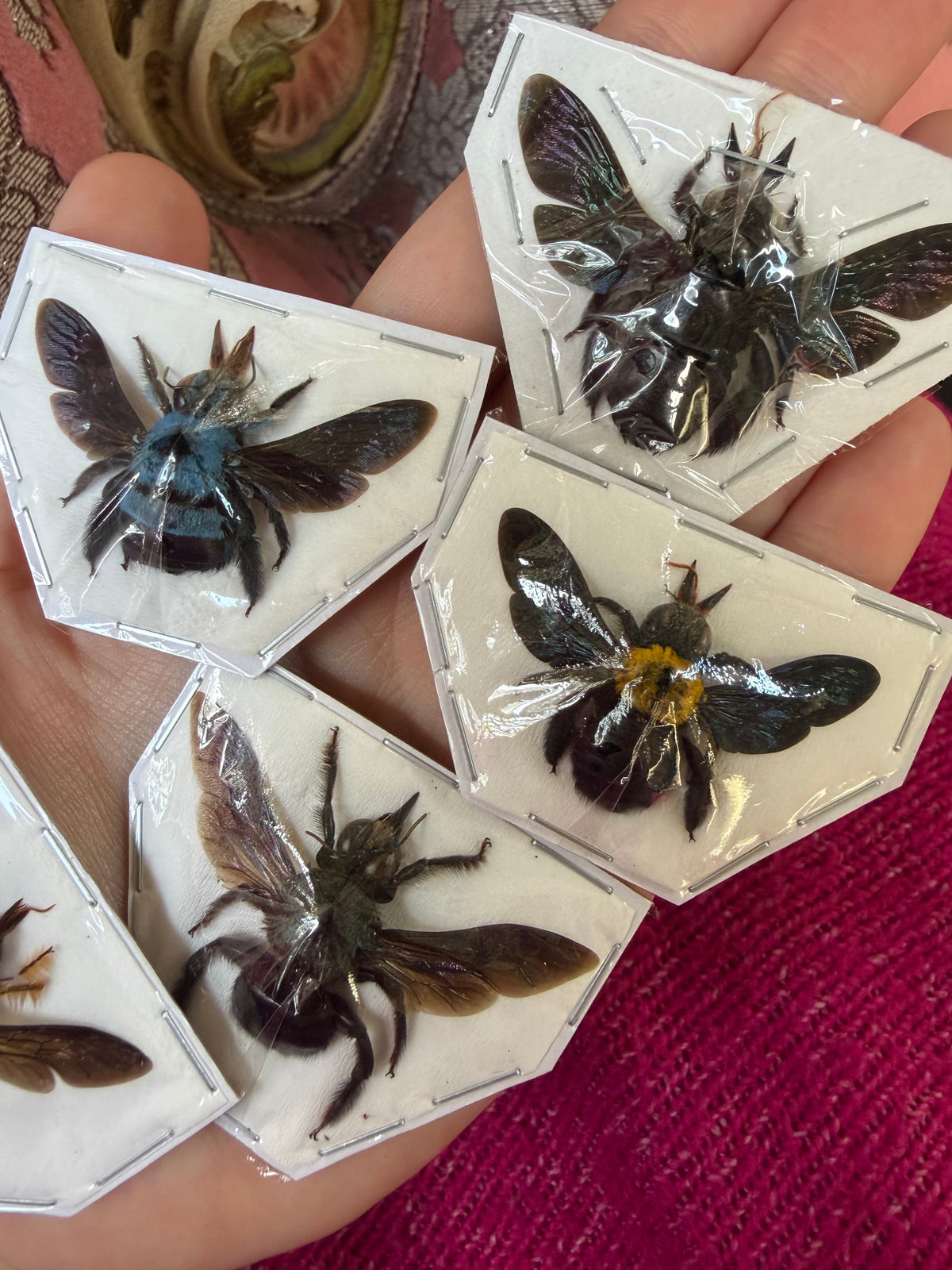 BEEZUS CHRIST - Royal flush of carpenter bees