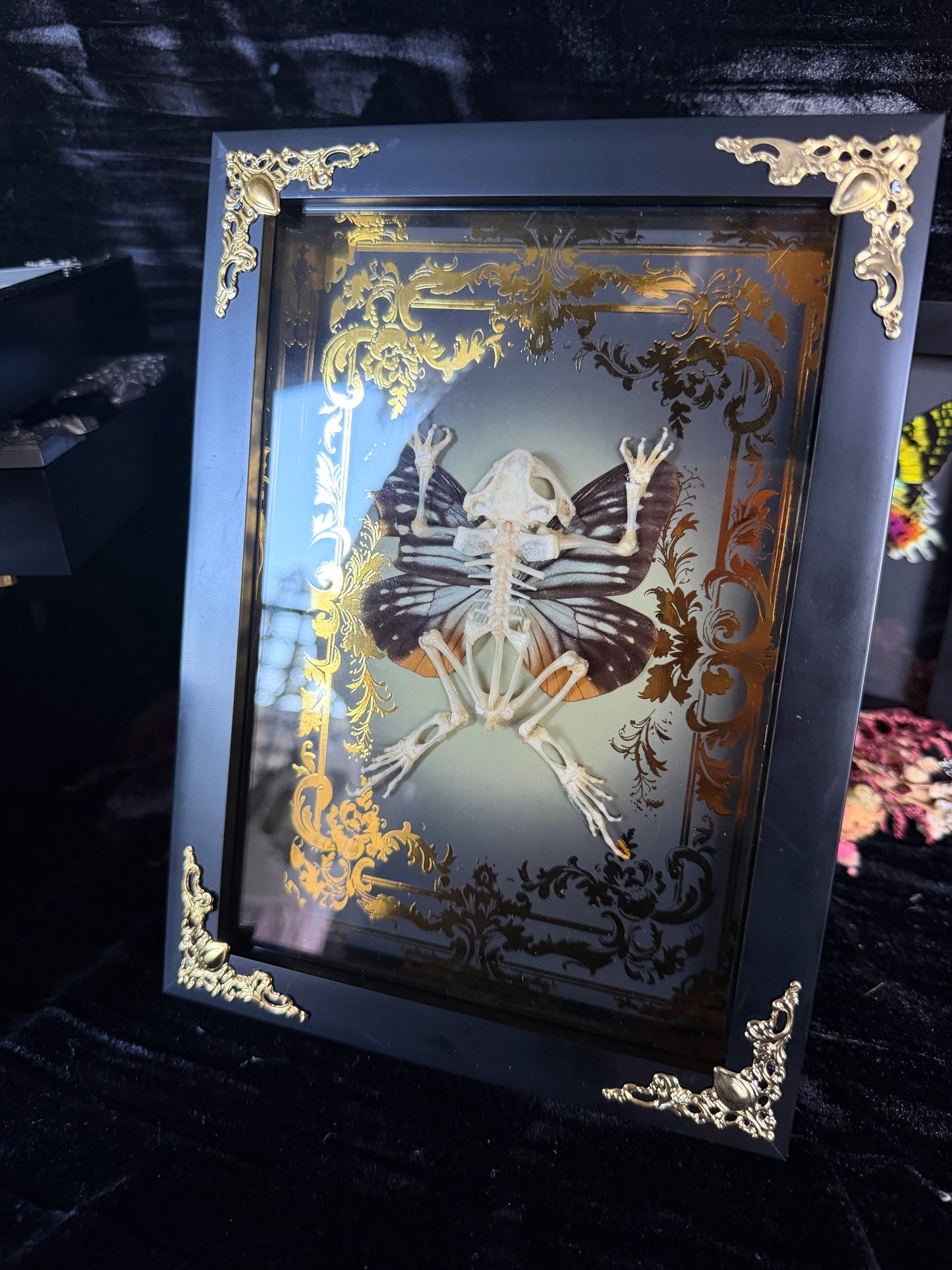 AUTUMN TOAD FAIRY - gold a5 specimen frame