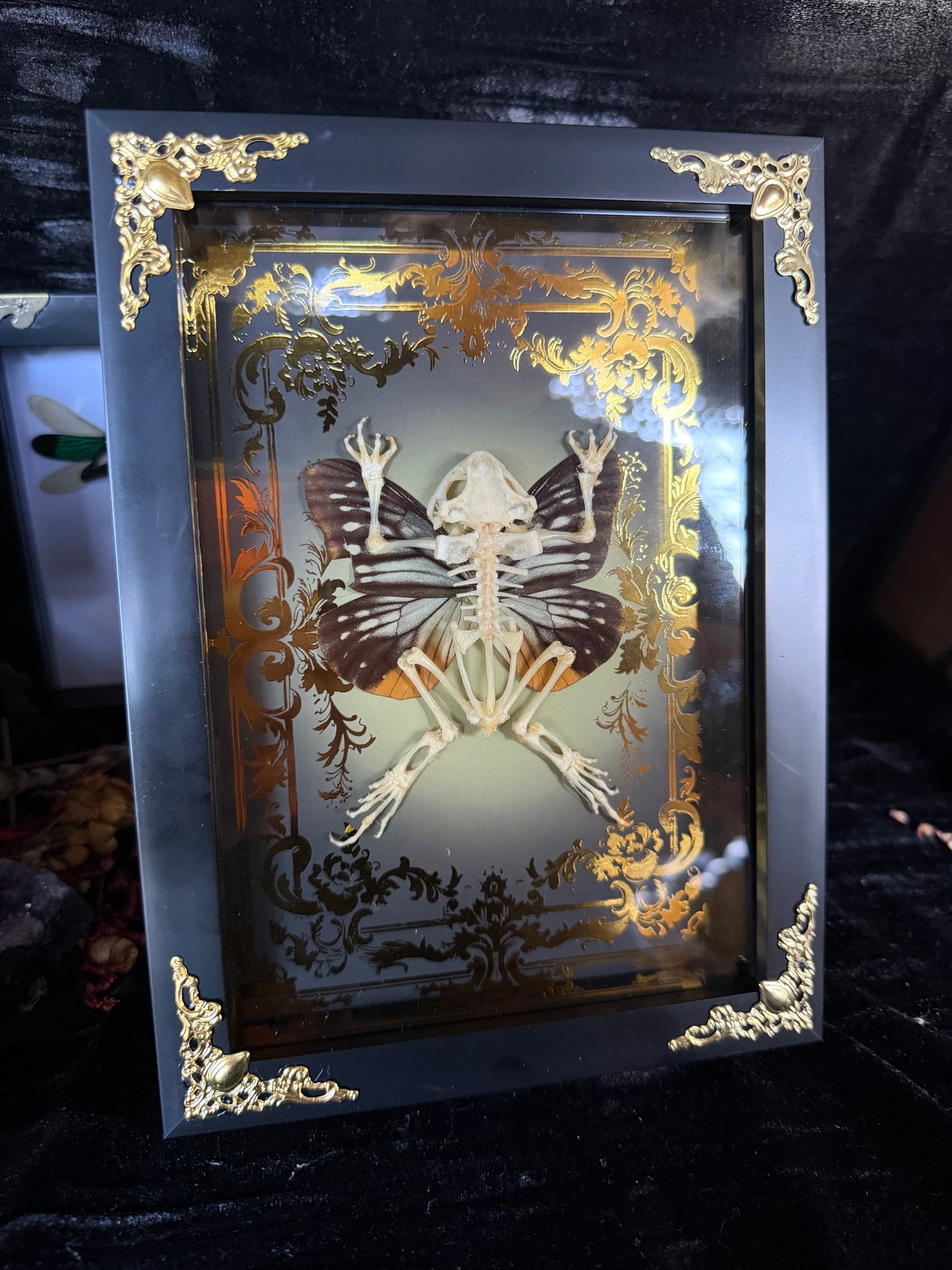 AUTUMN TOAD FAIRY - gold a5 specimen frame