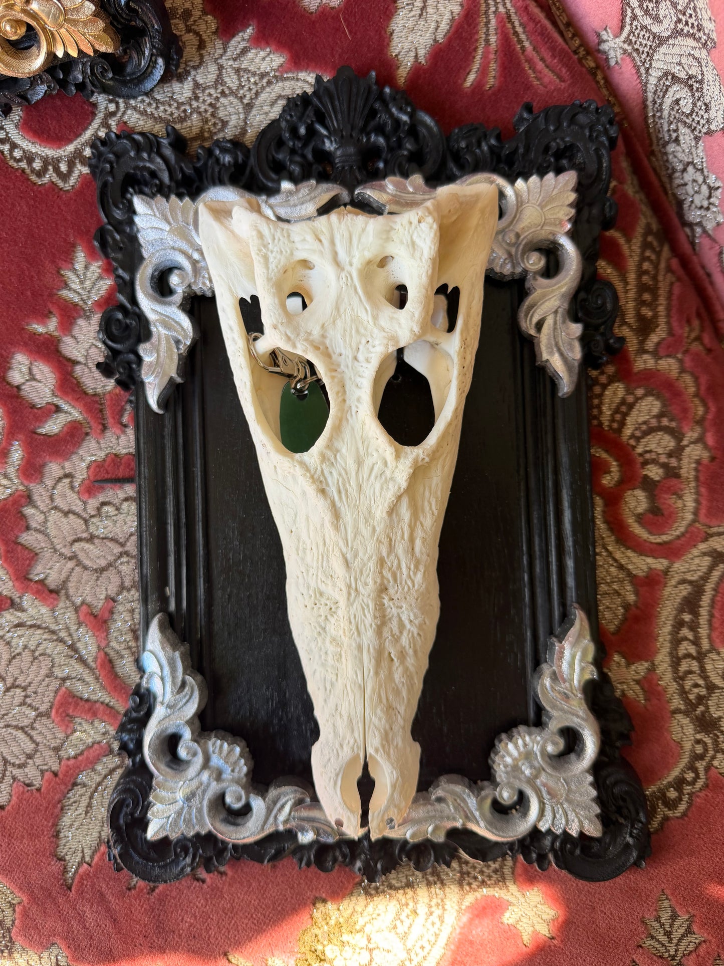 SILVER LEAF - crocodile skull curio with permit