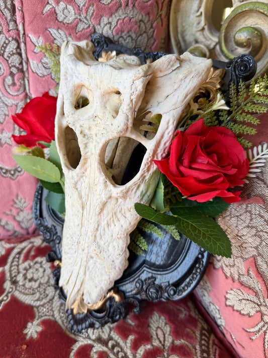 GOLD FERN ROSA - crocodile skull curio with permit