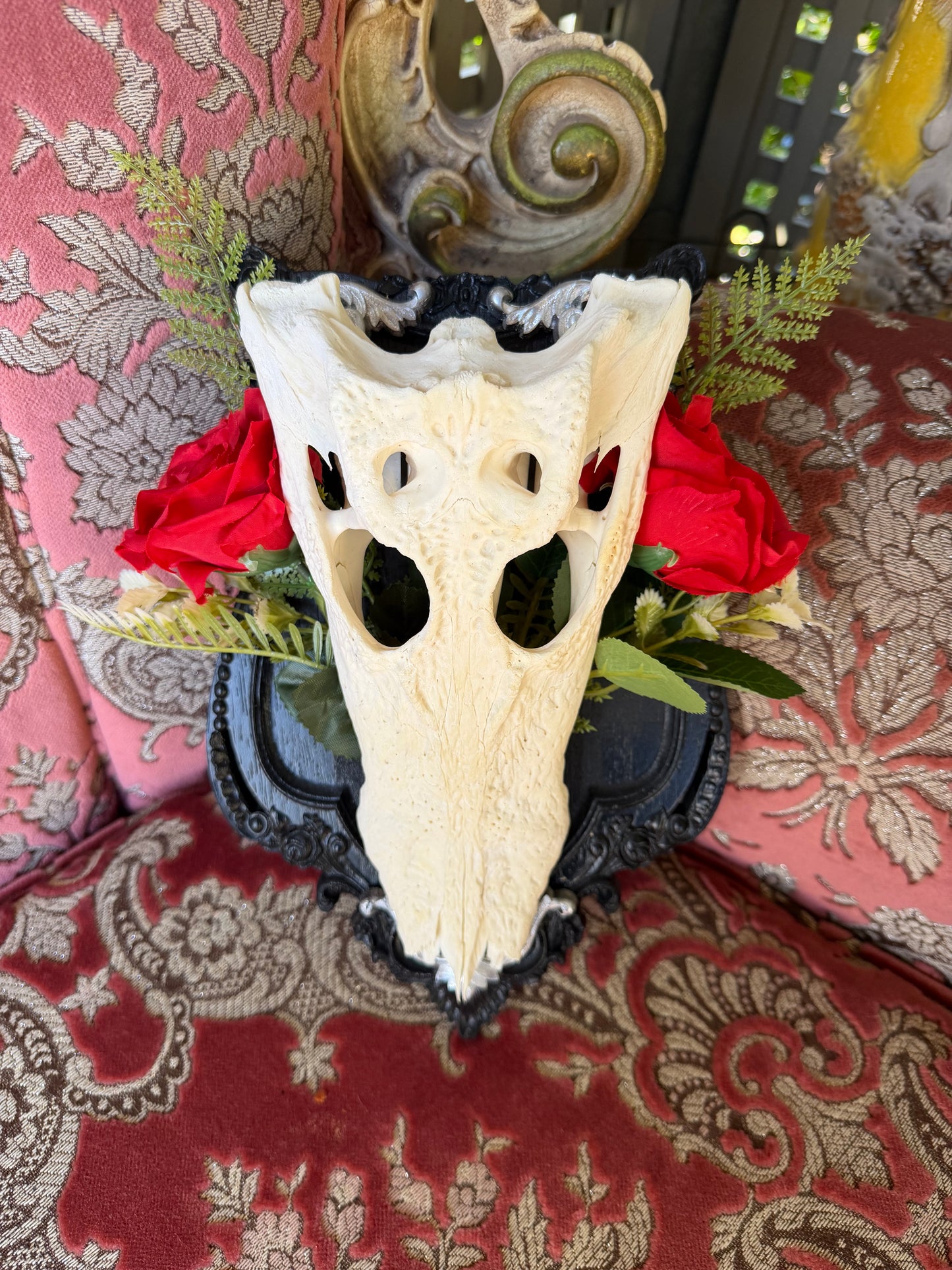 SILVER FERN ROSA - crocodile skull curio with permit